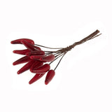 Occasions Natural Accessories 