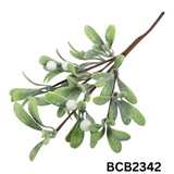 Occasions Natural Accessories 