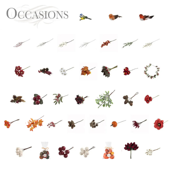 Occasions Natural Accessories 