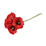 Occasions Natural Accessories 