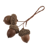 Occasions Natural Accessories 