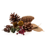 Occasions Natural Accessories 