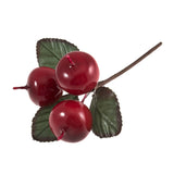 Occasions Natural Accessories 