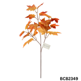 Occasions Natural Accessories 