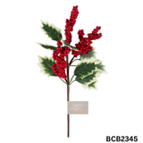 Occasions Natural Accessories 