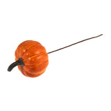 Occasions Natural Accessories 