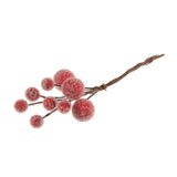 Occasions Natural Accessories 