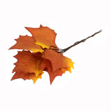 Occasions Natural Accessories 