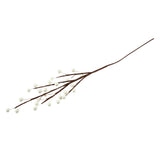 Occasions Natural Accessories 