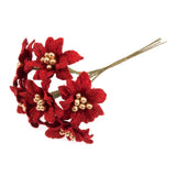 Occasions Natural Accessories 