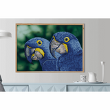 Diamond Dotz - Diamond Painting Kit - Blue Hyacinth Macaws