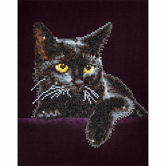 Diamond Dotz Midnight Cat Dotting Painting Craft Kit