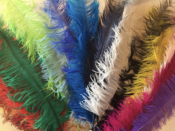 Large Ostrich Feathers 20-22