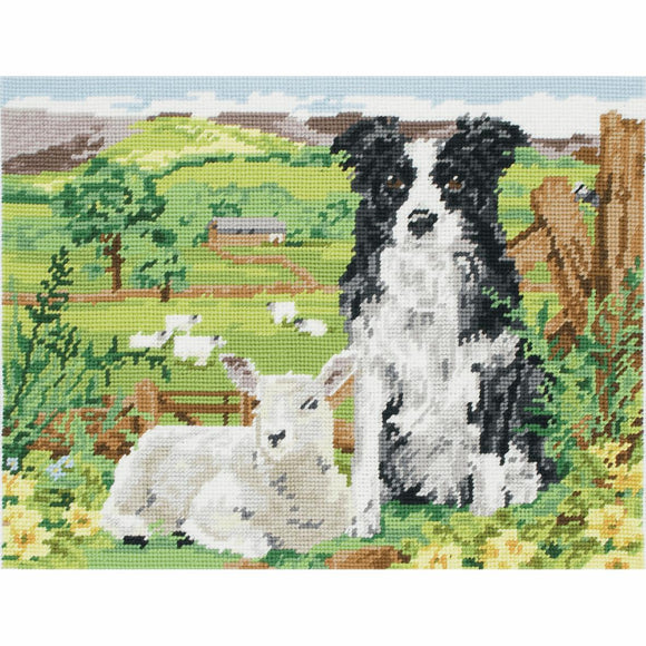 Anchor Tapestry Kit - 30cm x 40cm - Border Collie and Lamb