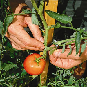 VELCRO® Brand Weatherproof Garden Plant Ties One-Wrap - Hook/Loop - 12mm x 5m