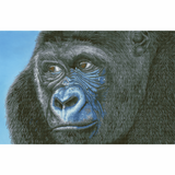Diamond Dotz Kibali, Western Lowlands Gorilla Dotting Painting Crafts Kit