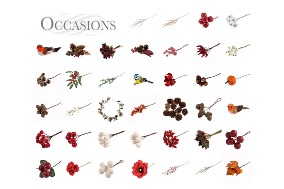 Occasions Natural Accessories 
