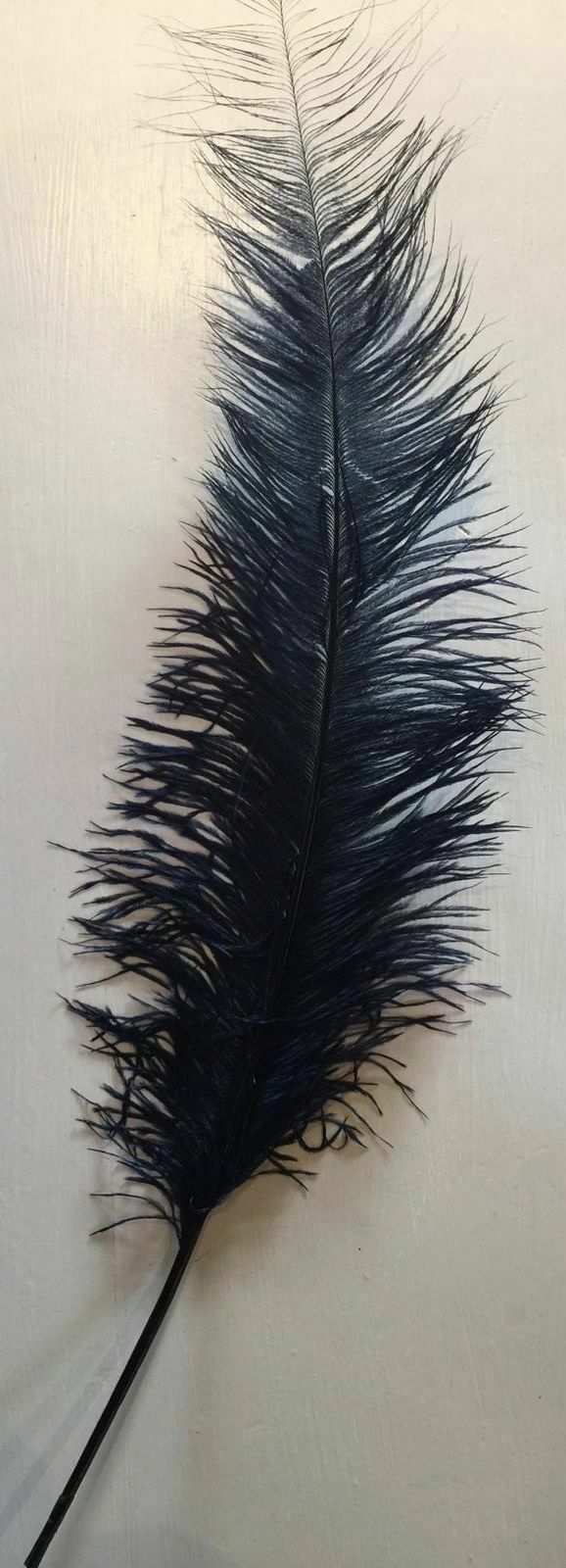 Large Ostrich Feathers - 17+ Drabs - Black