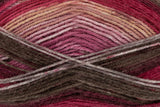 King Cole Bramble DK Double Knitting Self Striping Yarn 100g Acrylic Wool Ball